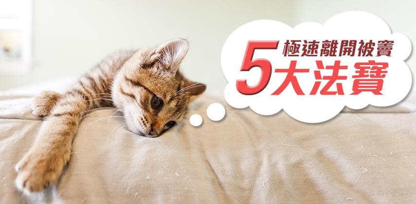 極速離開被竇5招