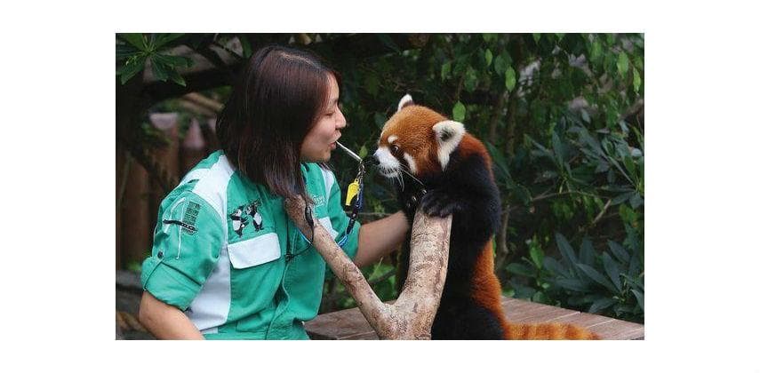 動物訓練 樂在其中