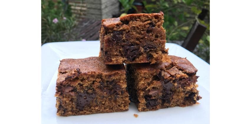 【中英素】 Brownie的朋友Blondie