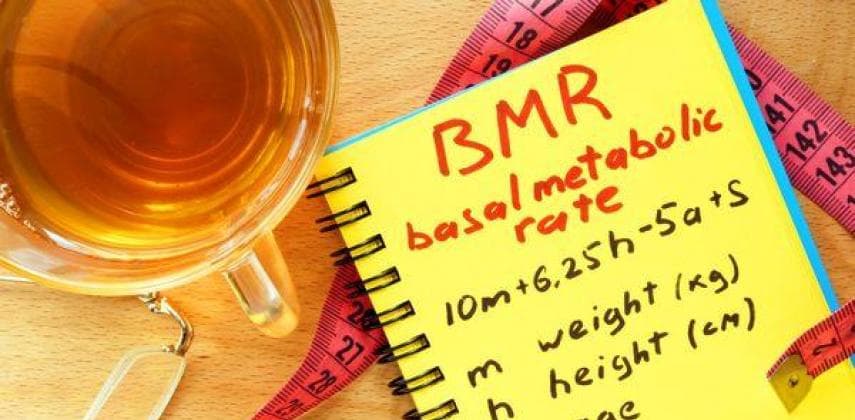 【物理自療】體重控制 BMR要識計