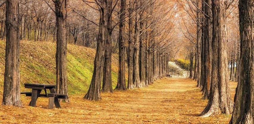 【韓情拆解】首爾:堆填區變浪漫公園