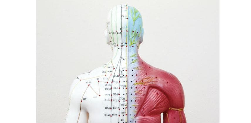【健康生活】天灸療法知多啲