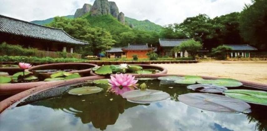 遊韓新角度 龍友好去處