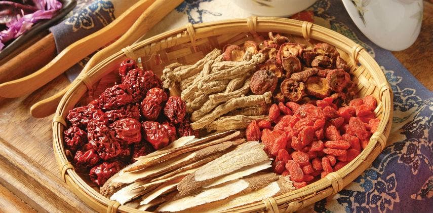 【好學•學好】認識中醫食療 養生有方