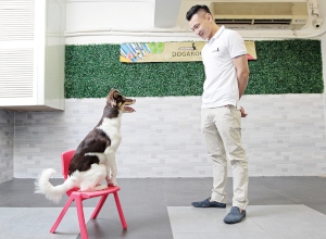 高耀忠表示，犬隻訓練師需要教導寵物主人如何與狗隻相處之外，也要加強狗狗的社交能力。